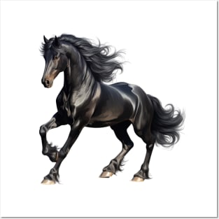 Friesian Horse Posters and Art